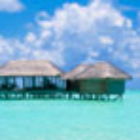 Rocatone Seafood Restaurant